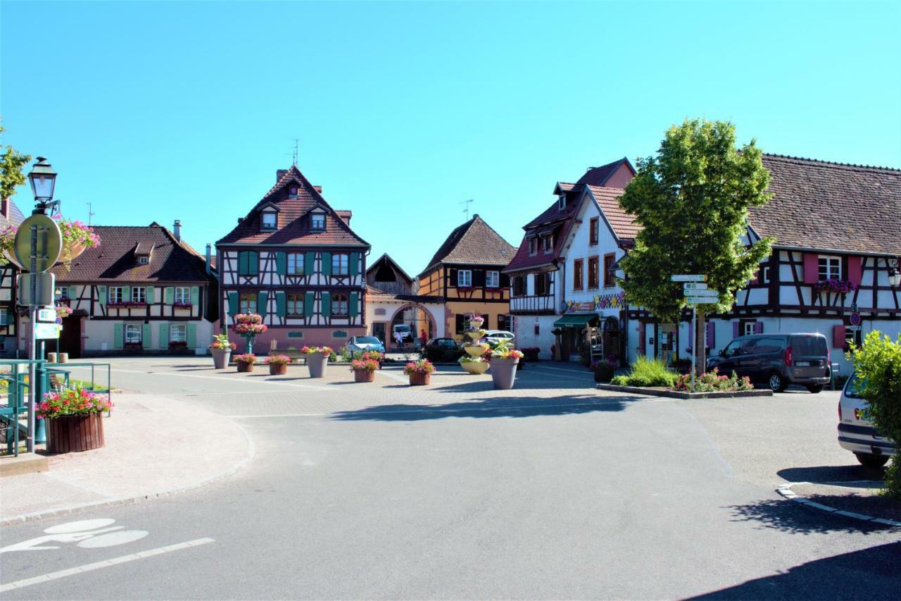 Apartmán La Halte Des Vignes - Route Des Vins D'Alsace Scherwiller Exteriér fotografie